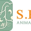 Santa Paula Animal Rescue Center gallery