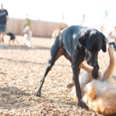 Reynolds Pet Resort - McMinnville - Hostels