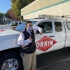 Orkin gallery