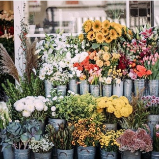 Le Bouquet Flower Shop - San Francisco, CA