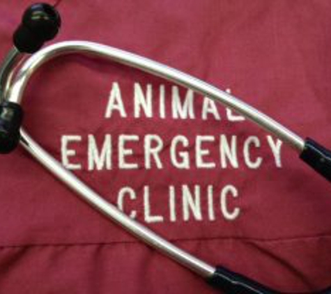 Animal Emergency Clinic - Grand Terrace, CA