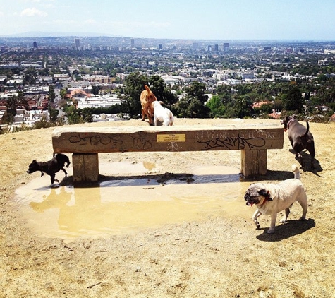 Runyon Canyon Park - Los Angeles, CA