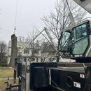 Boyd Bros Tree Care - Arborists