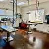 VCA River City Animal Hospital gallery