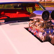 Gallery Image Number 1