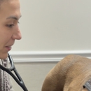 Veterinarian Pet Alliance - Veterinarians