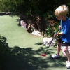 Big Stone Mini Golf gallery