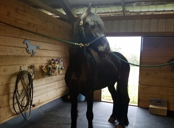 Mountain Meadow Equestrian Center - Maryville, TN