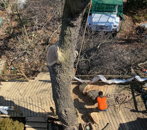 Brother's Tree Service, L.L.C. - Wheatfield, IN