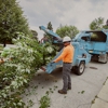 Winkler Tree & Lawn Care gallery