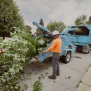 Winkler Tree & Lawn Care - Arborists