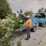 Winkler Tree & Lawn Care