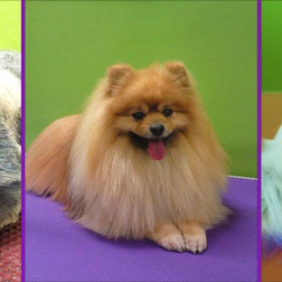 Leanne's Passion Pet Salon - Greystanes, NSW