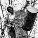 Lefler's Tree Service - Foresters