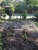 Craig's Gardening, Yard Tidy and Handyman Service - Gardeners