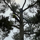 Art-Is-Tree