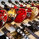 The Oakland Guitar Studio South Lyon - Musical Instruments