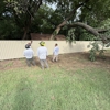 Shamblin's Tree Service gallery