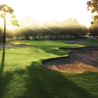 Innisbrook, A Salamander Golf & Spa Resort