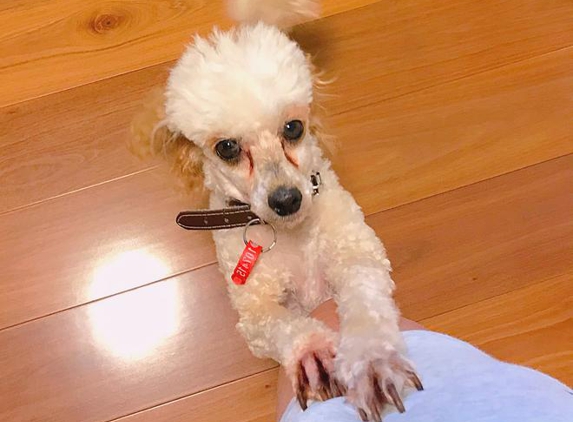 Pets Paradise - Epping, VIC