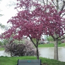 Riverside Park - Public Swimming Pools