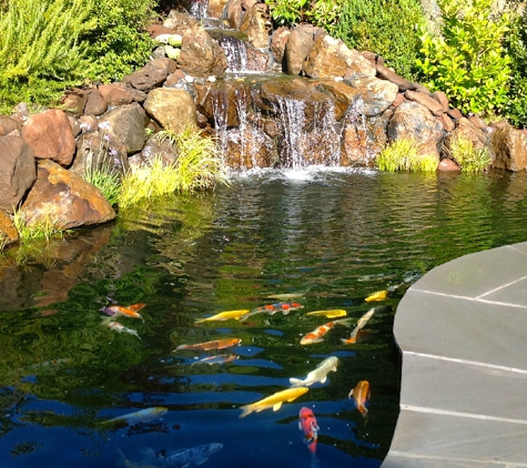 Pacific Pond & Waterfall - Martinez, CA