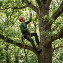 Tree Service-Lilburn, GA - Arborists