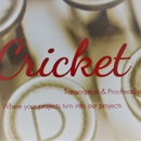 Cricket Transcription & Proofreading - Computer Online Services