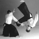 Aikido Shugyokan - Health & Fitness Program Consultants