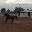 Crossroads Farm - Horse Equipment & Services