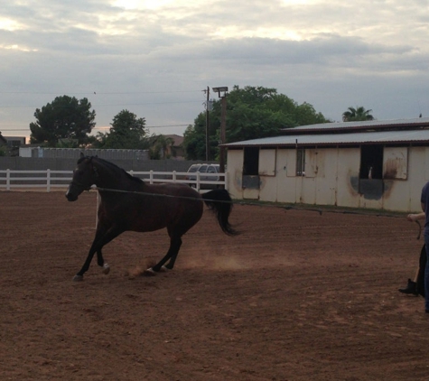 Crossroads Farm - Gilbert, AZ