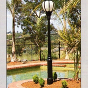 Gallery Image Number 5