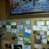 The Landing Bar and Grill gallery