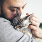 Red Barn Vet Care