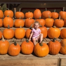 Szalay's Sweet Corn Farm - Farmers Market