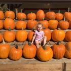 Szalay's Sweet Corn Farm