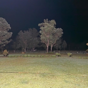 Gallery Image Number 5