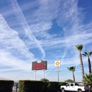 Photo #11