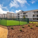 Pacific Bay Vistas - Apartments