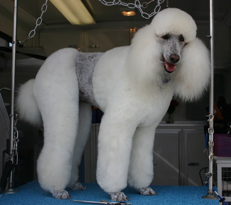 Beauty for the Beasts Mobile Dog Salon - Rancho Santa Fe, CA