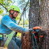Tree Scouts Tree Service Leander gallery