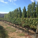 Melville Vineyards & Winery - Wineries