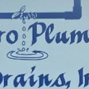 All Pro Plumbing & Drains Inc - Water Damage Emergency Service