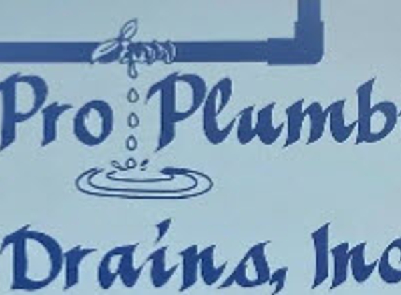 All Pro Plumbing & Drains Inc