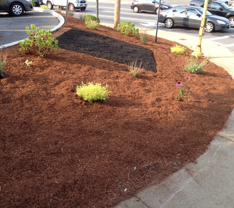 TJ Constructon and Landscaping - Randolph, MA