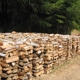 Dry Firewood