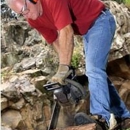 Joe Regan Tree Work Inc. - Stump Removal & Grinding