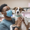 The Pet Hospitals gallery
