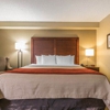 Comfort Inn & Suites gallery