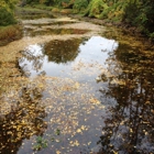 Akron Falls Park